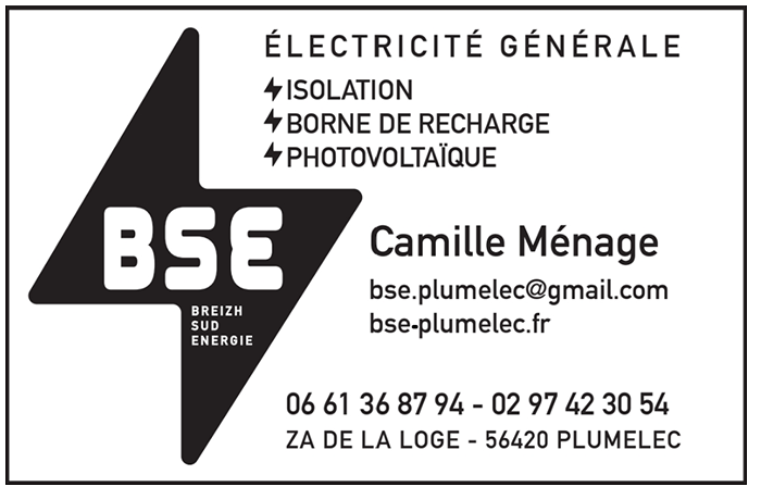 BSE PLUMELEC